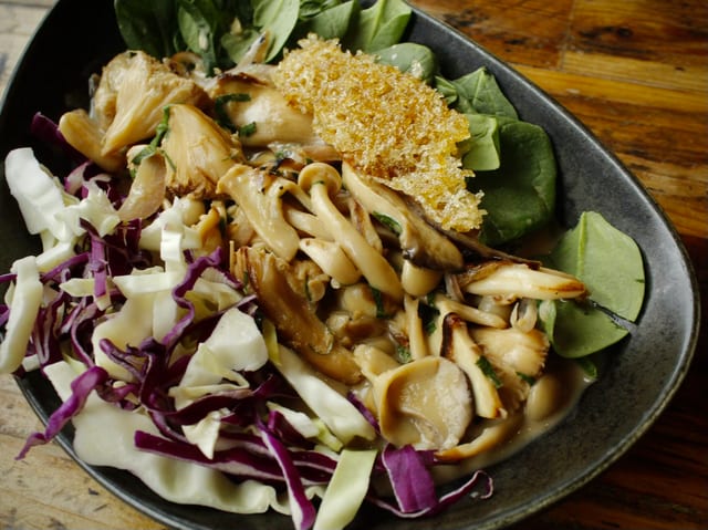 Fricassee of Local Wild Mushroom.
